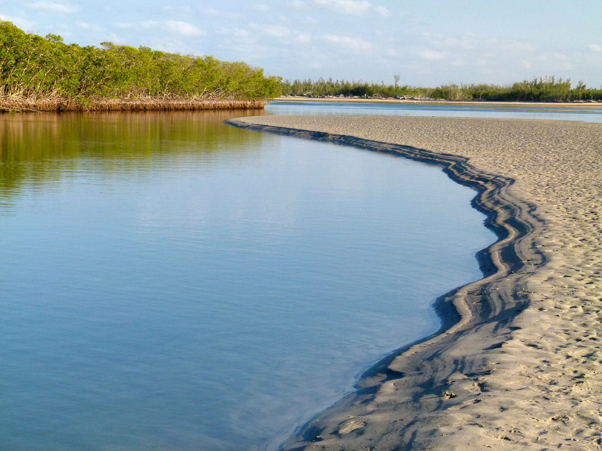 Click to See Next Image